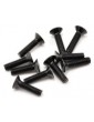 SWORKz FH/ST Screw M4x16mm (10)
