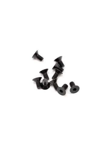 SWORKz FH/ST Screw M4x8mm (10)