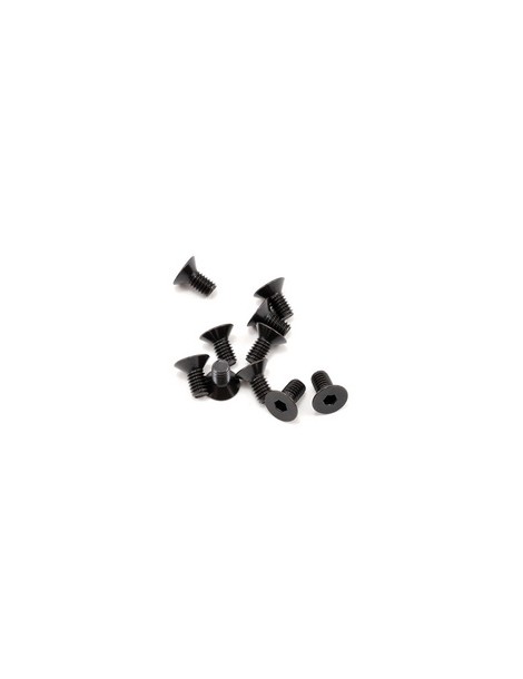 SWORKz FH/ST Screw M4x8mm (10)