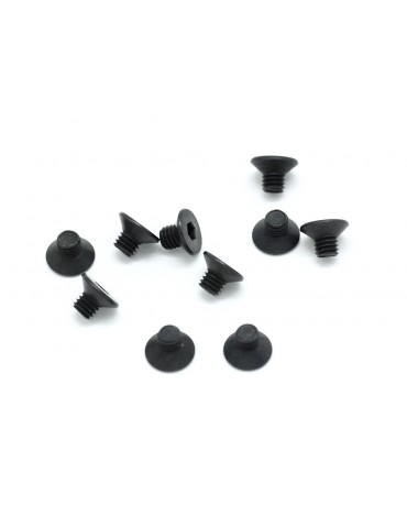 SWORKz FH/ST Screw M3x3mm (10)