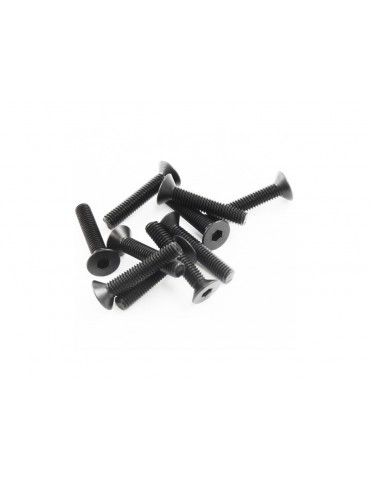 SWORKz FH/ST Screw M3x16mm (10)
