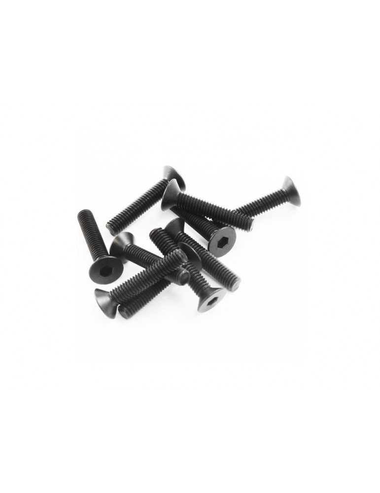 SWORKz FH/ST Screw M3x16mm (10)