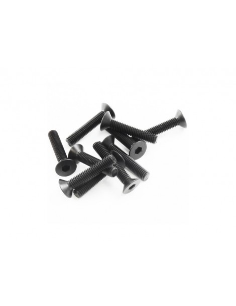 SWORKz FH/ST Screw M3x16mm (10)