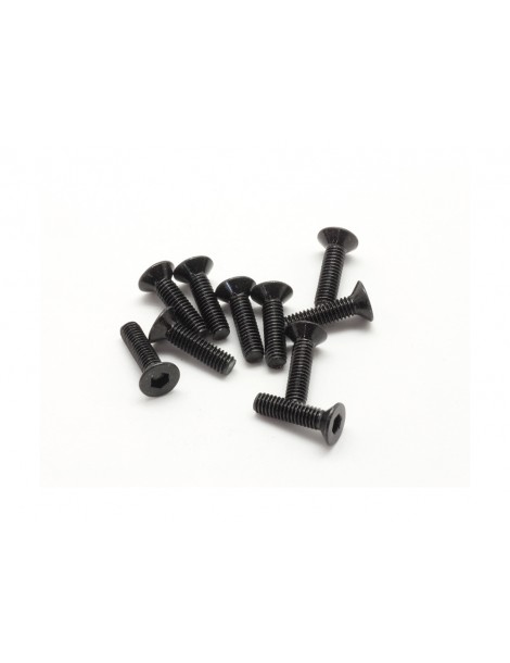 SWORKz FH/ST HEX Screw M2.6x10mm (10)