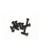 SWORKz FH/ST HEX Screw M2.6x10mm (10)