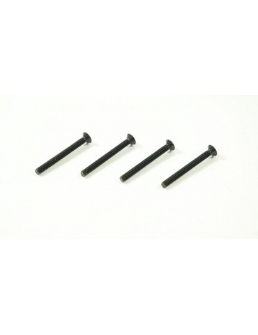 SWORKz FH/ST HEX Screw M3x30mm (4pc)