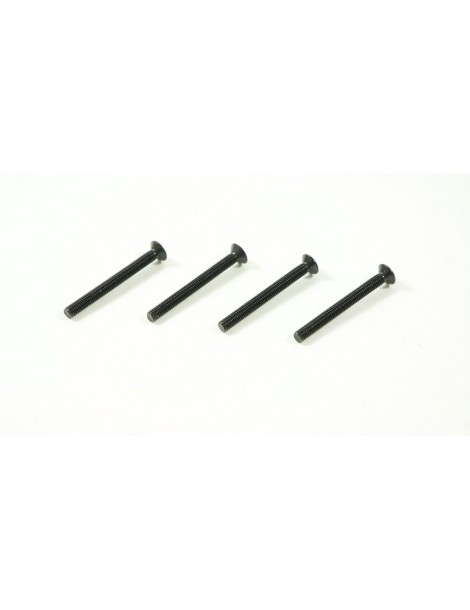 SWORKz FH/ST HEX Screw M3x30mm (4pc)
