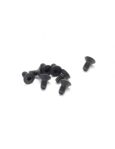 SWORKz FH/ST HEX Screw M2x4mm (10)