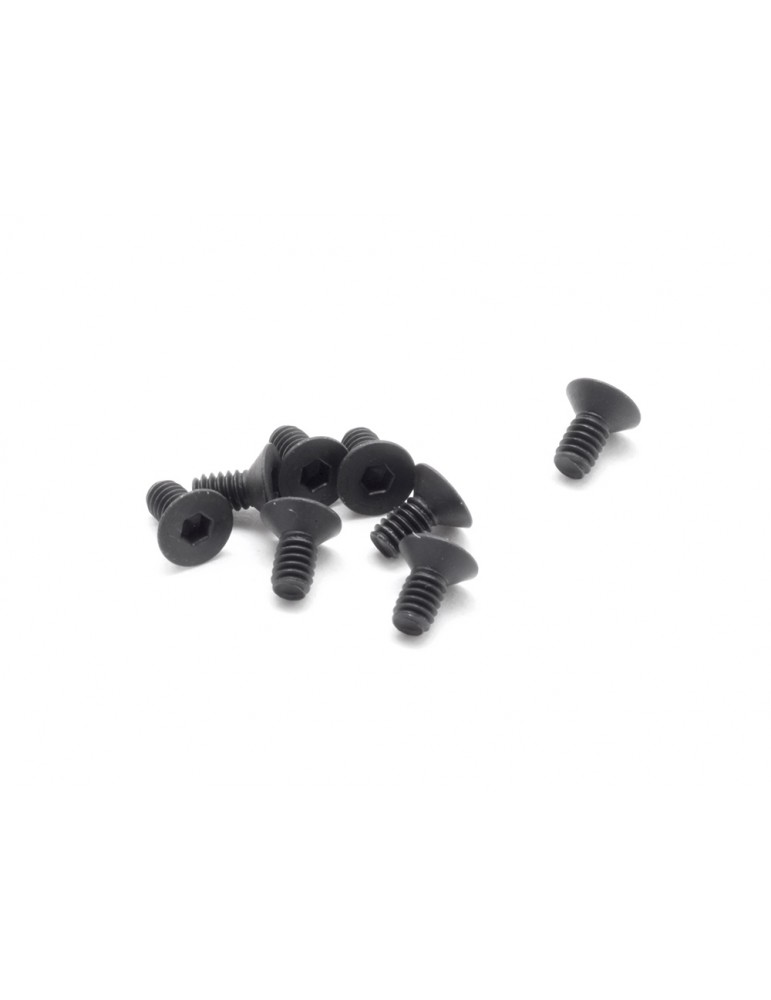 SWORKz FH/ST HEX Screw M2x4mm (10)