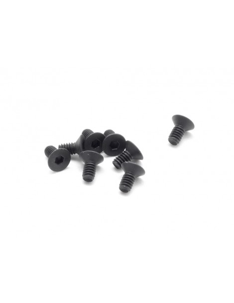SWORKz FH/ST HEX Screw M2x4mm (10)