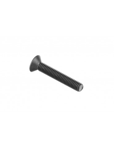 SWORKz FH/ST HEX Screw M3x18mm (10)