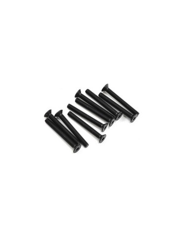 SWORKz FH/ST HEX Screw M3x25mm (10)