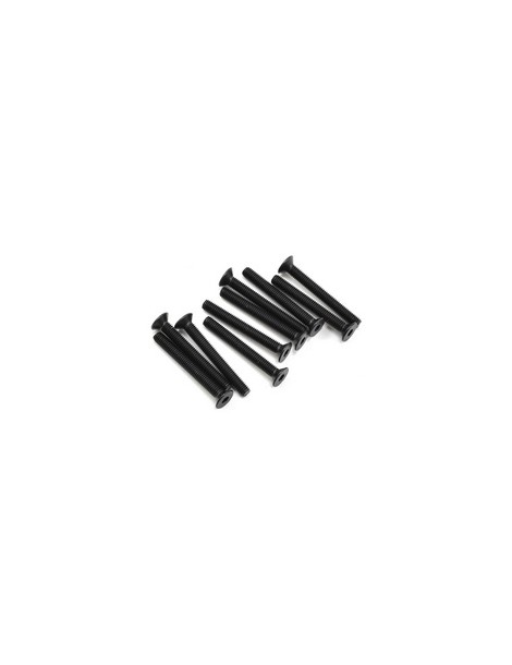 SWORKz FH/ST HEX Screw M3x25mm (10)