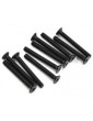 SWORKz FH/ST HEX Screw M3x25mm (10)