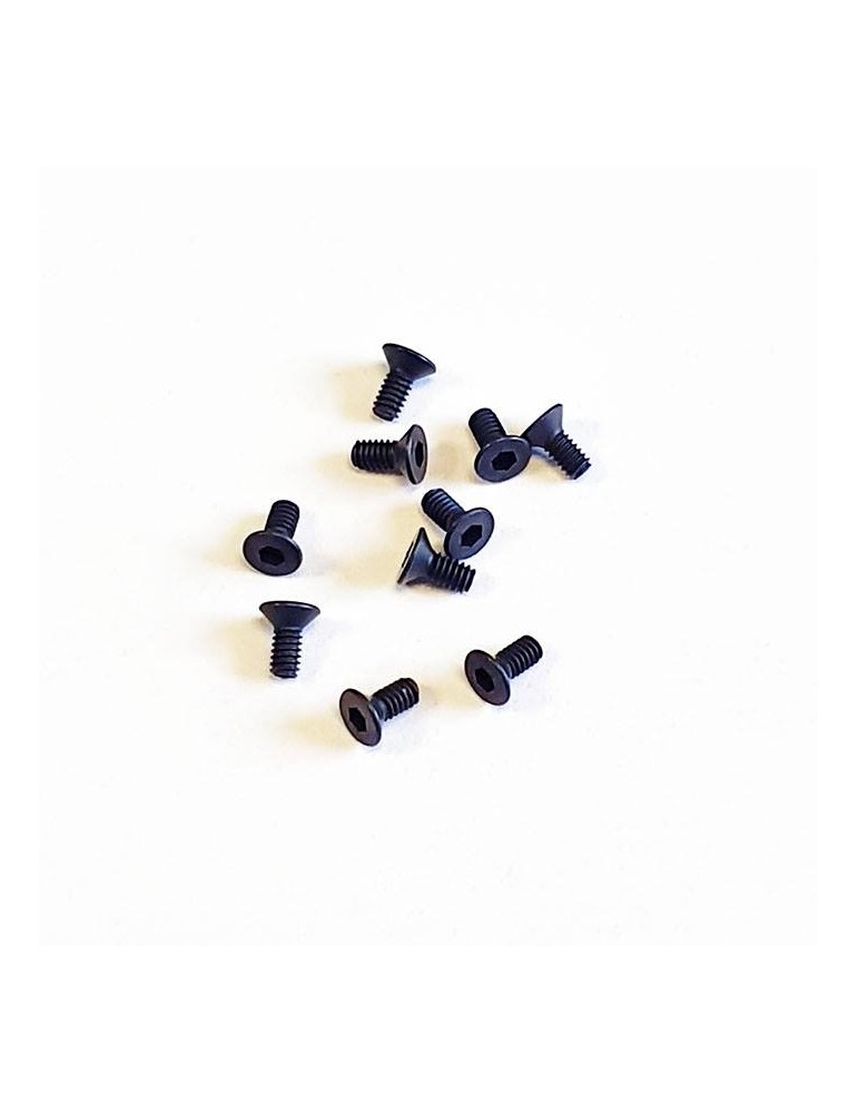 SWORKz FH/ST HEX Screw M2x4.6mm (10)