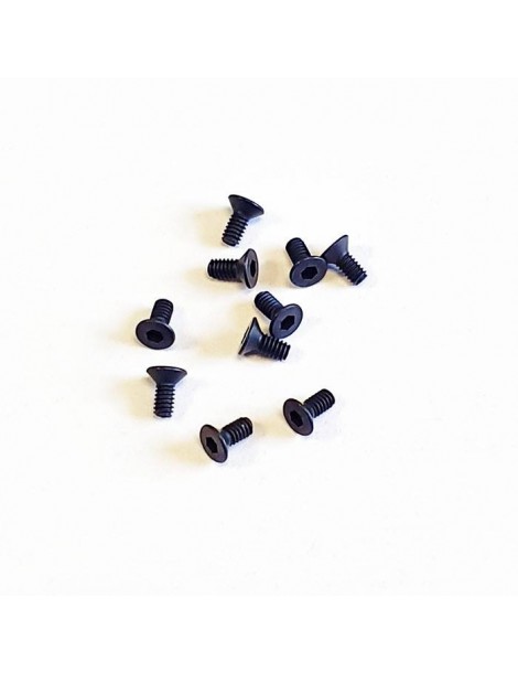 SWORKz FH/ST HEX Screw M2x4.6mm (10)