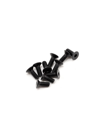 SWORKz FH/ST Screw M3x8mm (10)