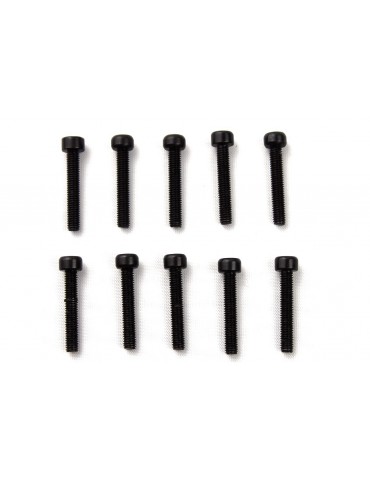 M3X18mm HEX SOCKET CAP SCREW (10PCS)