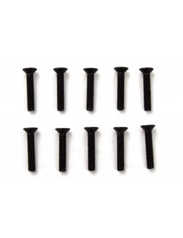 M3X16mm HEX COUNTERSUNK SCREW (10PCS)