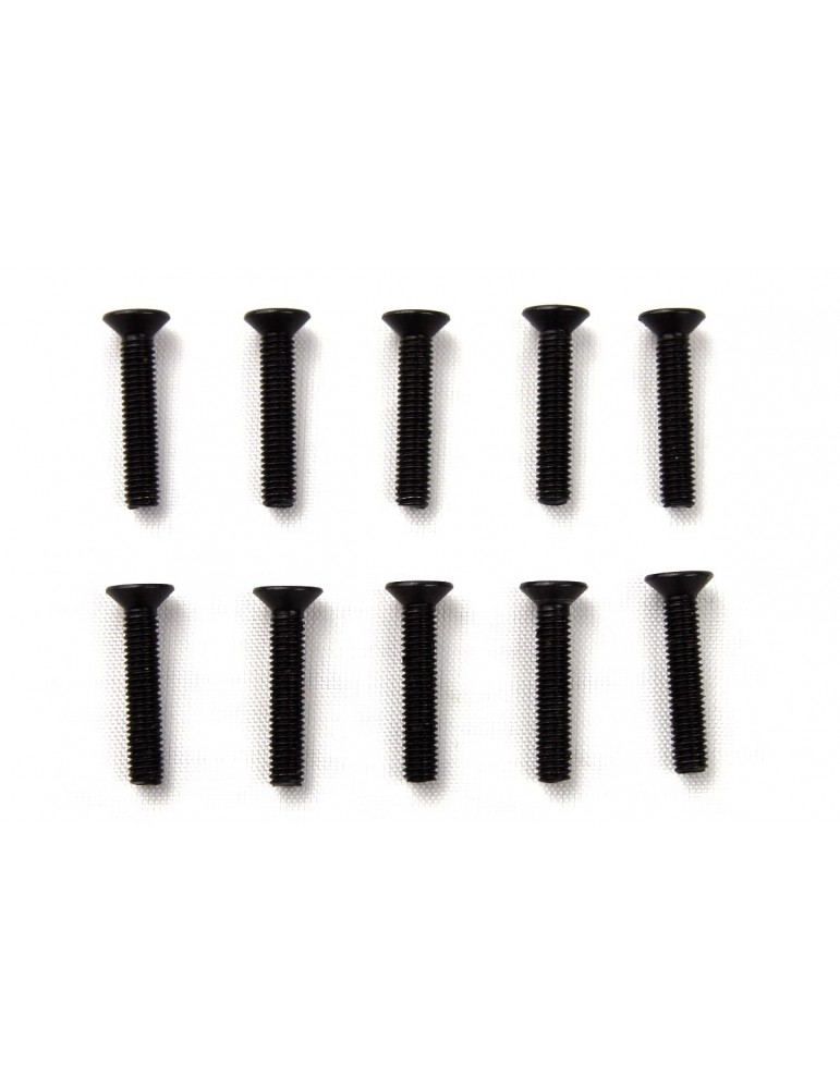 M3X16mm HEX COUNTERSUNK SCREW (10PCS)