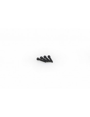 M2X10MM SOCKET CAP SCREW (10PCS)
