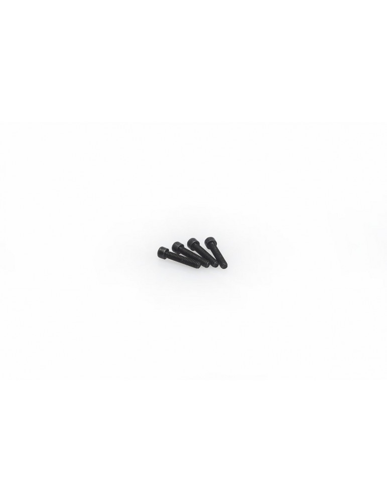 M2X10MM SOCKET CAP SCREW (10PCS)