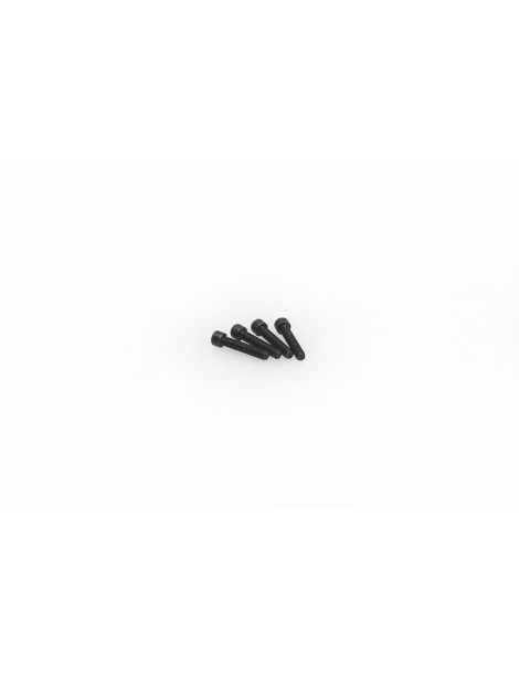 M2X10MM SOCKET CAP SCREW (10PCS)