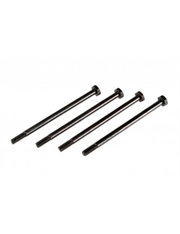 3x48.5mm Hinge Pin (4pcs) - S10 Blast 2