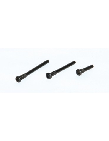 Hinge Pin Screws (3pcs) - Rebel