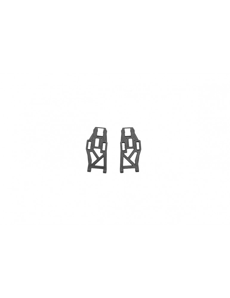 Rear Lower Suspension Arm (2pcs)