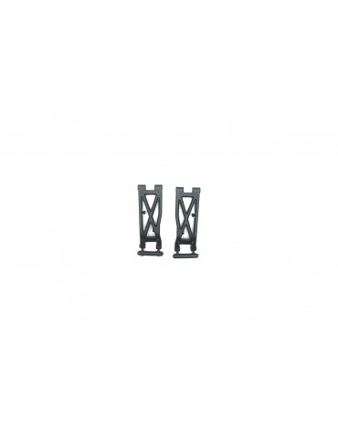 Rear Lower Arms (2pcs)