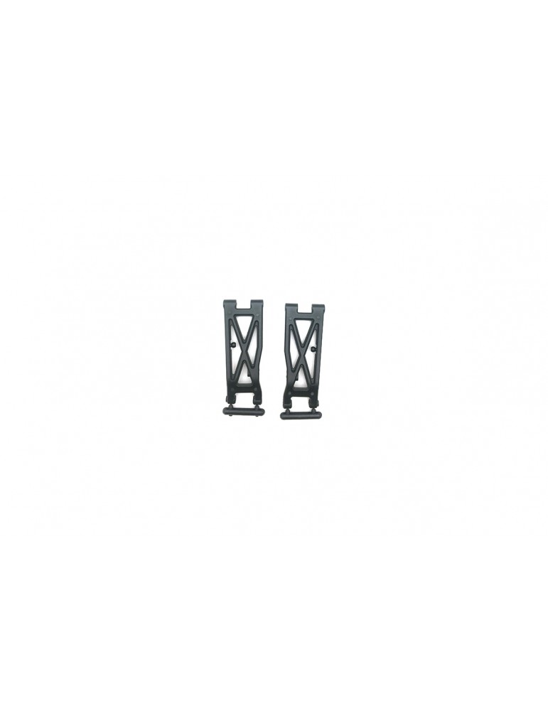 Rear Lower Arms (2pcs)