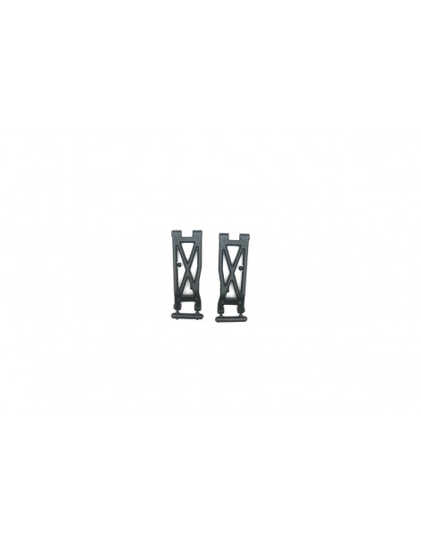 Rear Lower Arms (2pcs)