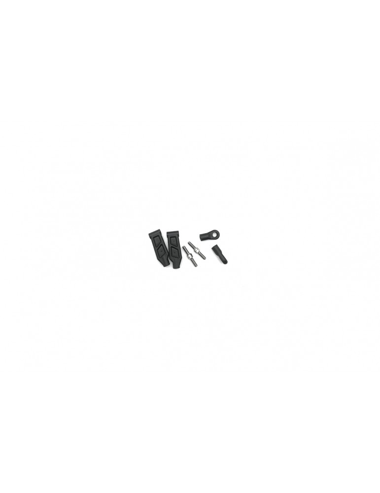 Front Upper Arms (L/R)