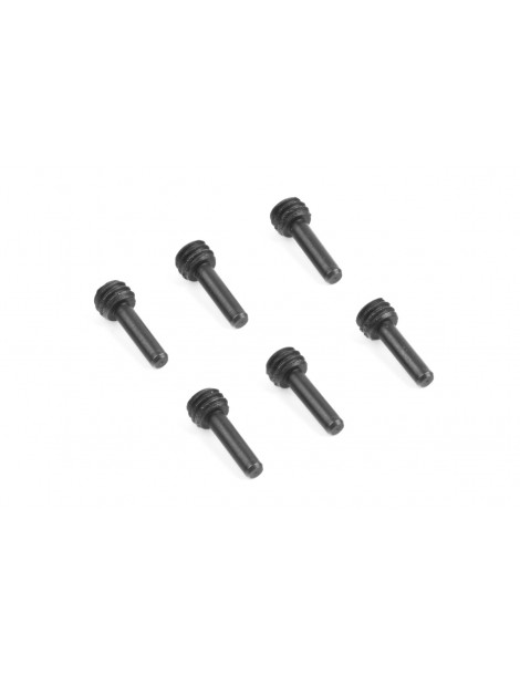 Step Screws M4*10 (6pcs)