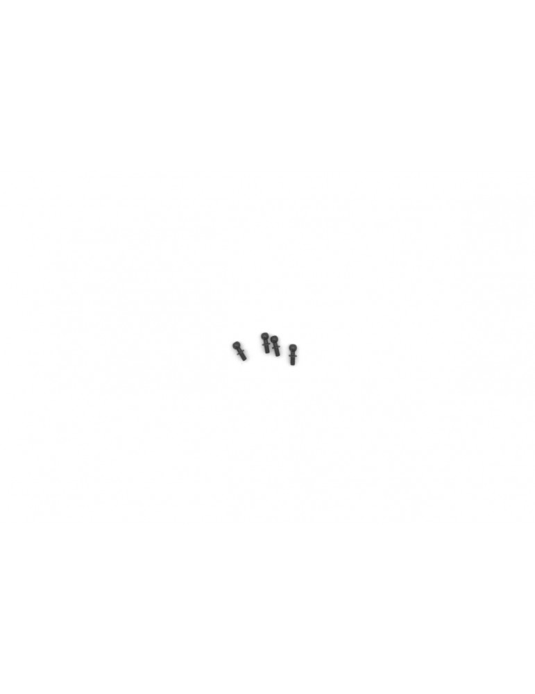 Ball Head Screw 4.8*5 (4pcs)