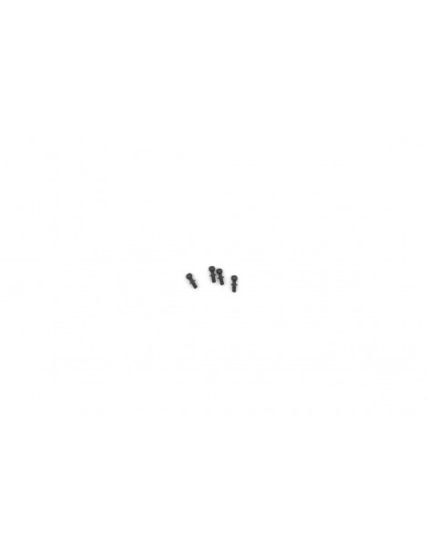 Ball Head Screw 4.8*5 (4pcs)