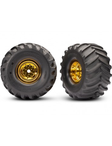 RC modelis Traxxas BIGFOOT 50th 1:5 RC monster truck jubiejinis - CyborgShop