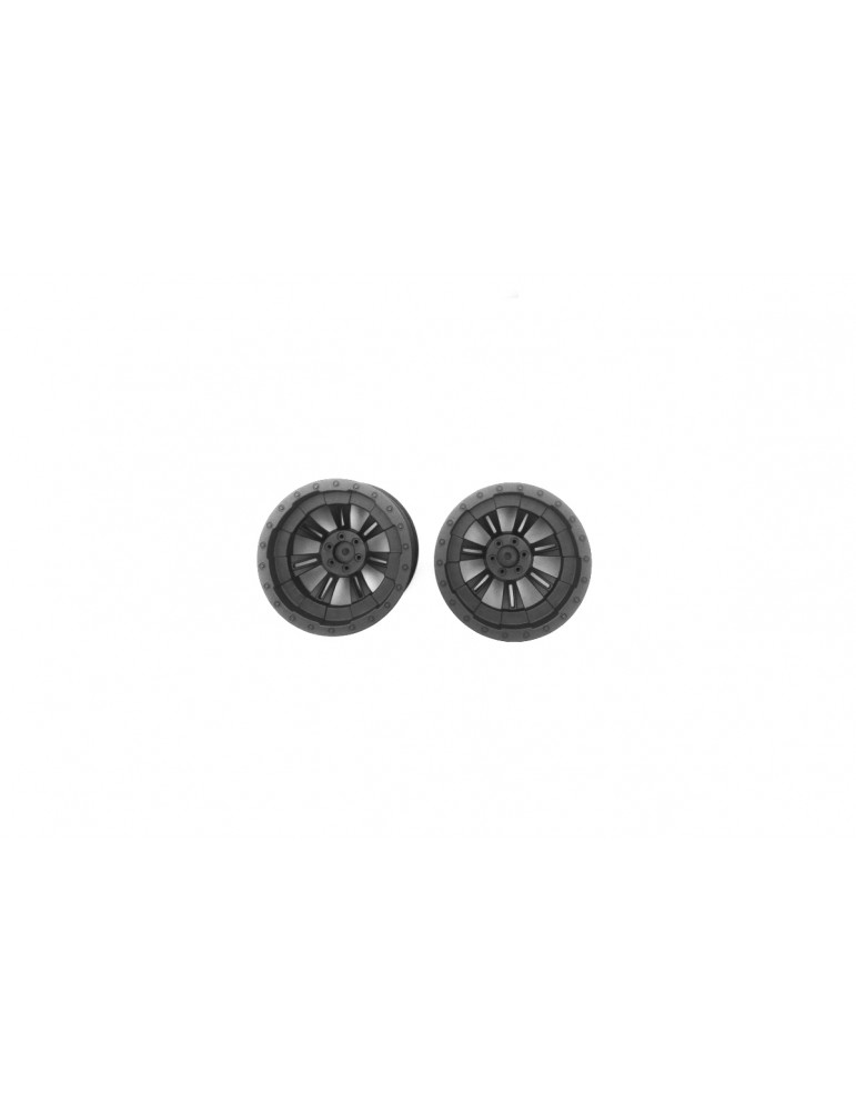 Wheel Rim (2pcs)
