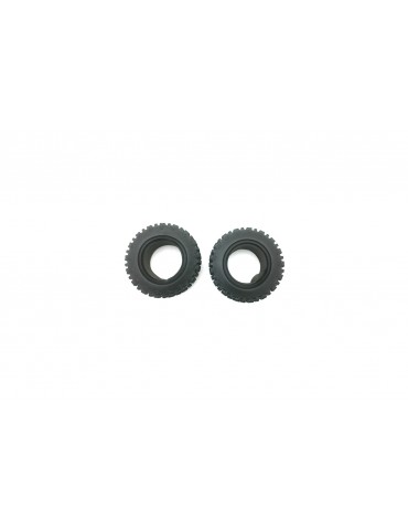 Tire W/Foam (2 pcs)