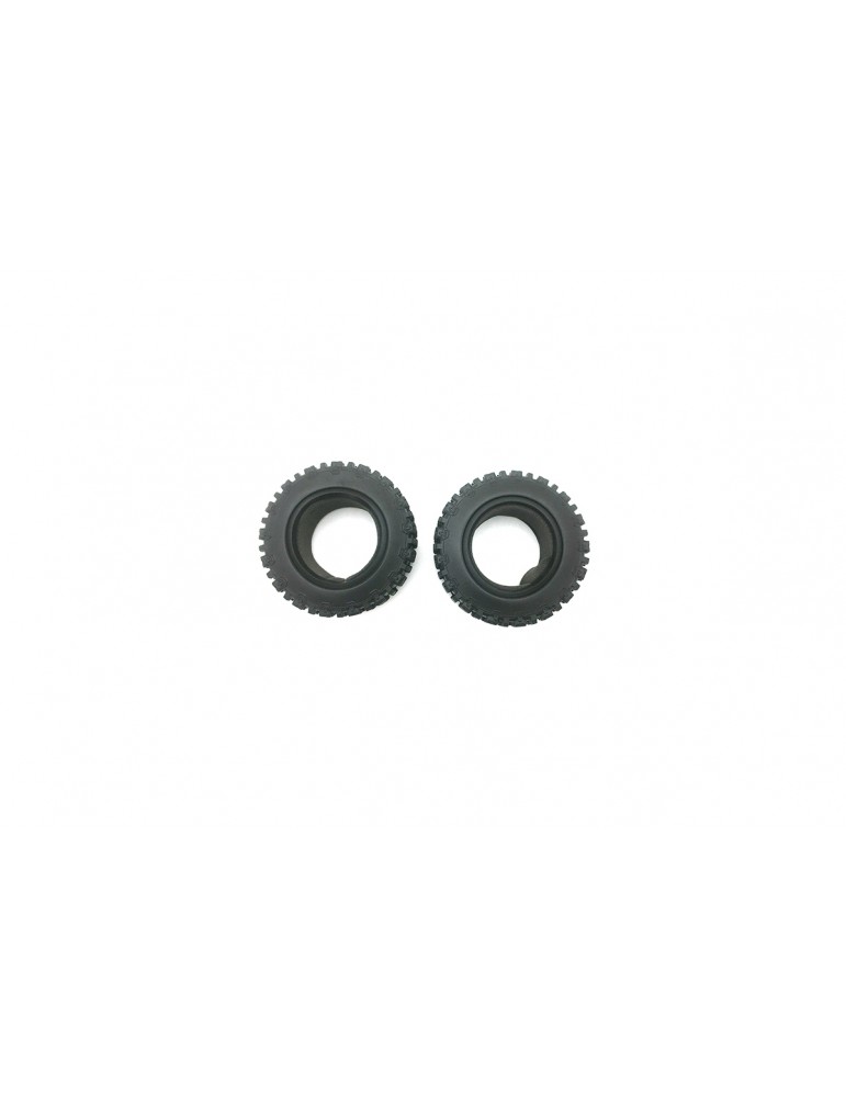 Tire W/Foam (2 pcs)