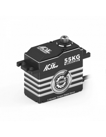 Servo pavara AGF-RC A81BMWP 55kg bešepetėlinė IP67 – CyborgShop