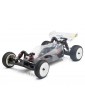 2WD 1/10 Xmid buggy kit