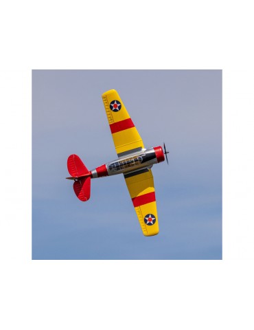 E-flite SNJ-5 AT-6 Texan RC lėktuvas 1.5 m – CyborgShop