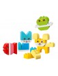 LEGO Friends - 3 in 1 Creative Cute Pets