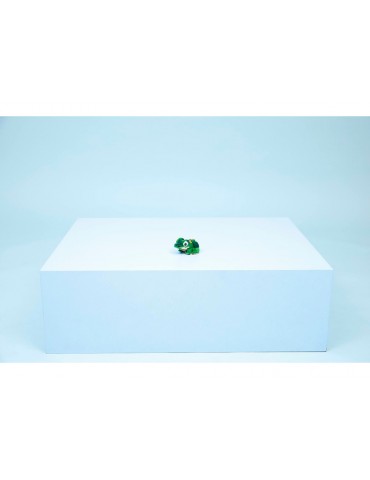 LEGO Creator - Turtle with a Water Lily Flower