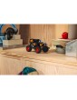 LEGO Technic - Monster Jam Grave Digger Fire and Ice