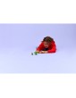 LEGO Ninjago - Lloyd vs. Earth Monster Spinner