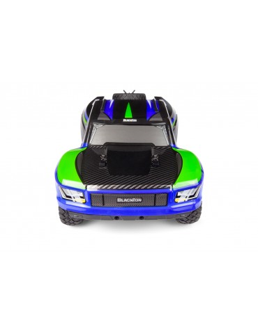 RC modelis Vyper SC 1/16 4WD RTR Blue Green – CyborgShop