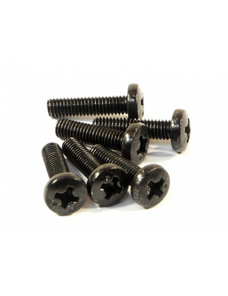Z518 - BINDER HEAD SCREW M3x12mm (6vnt.)